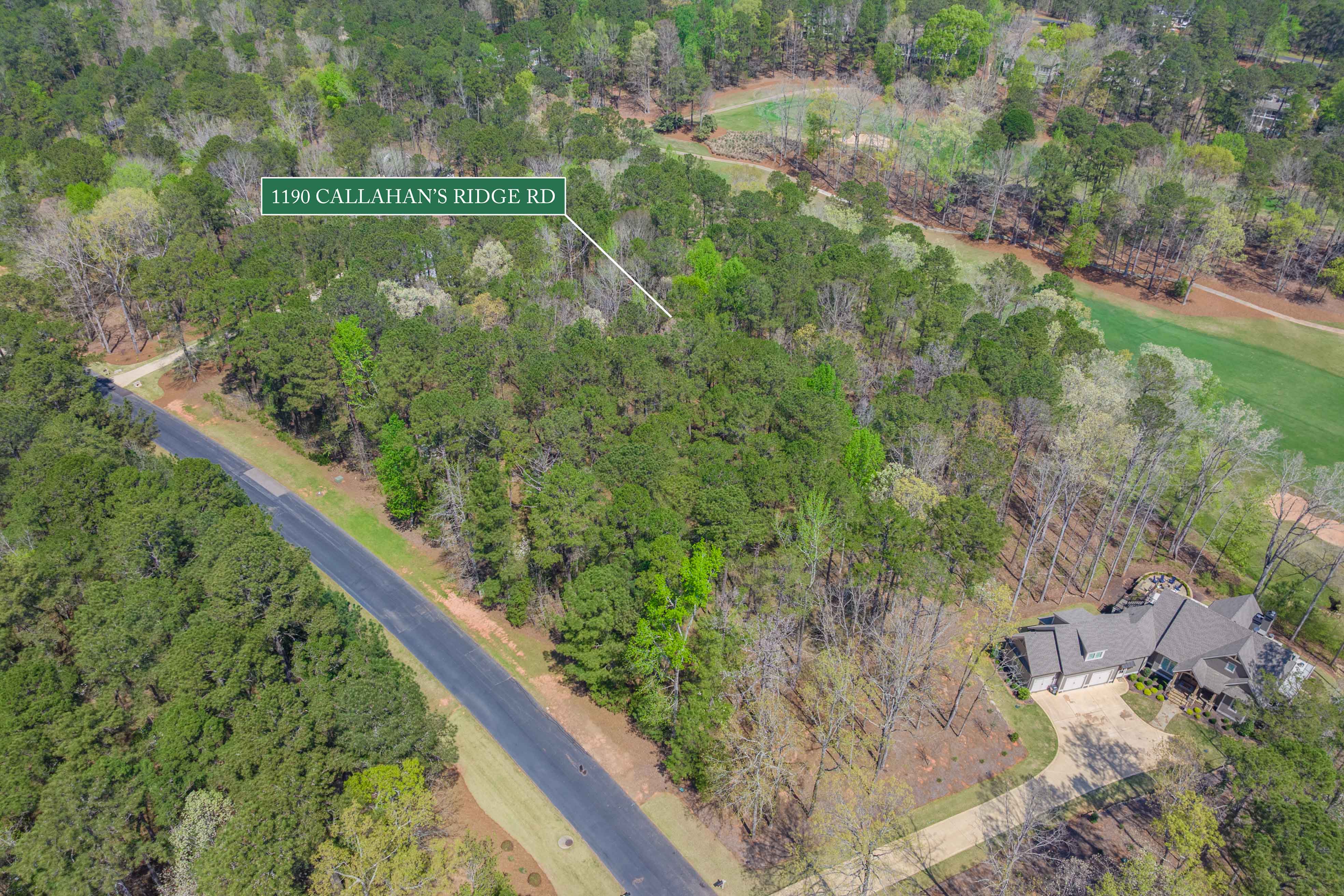 1190 Callahan's Ridge Road image 22